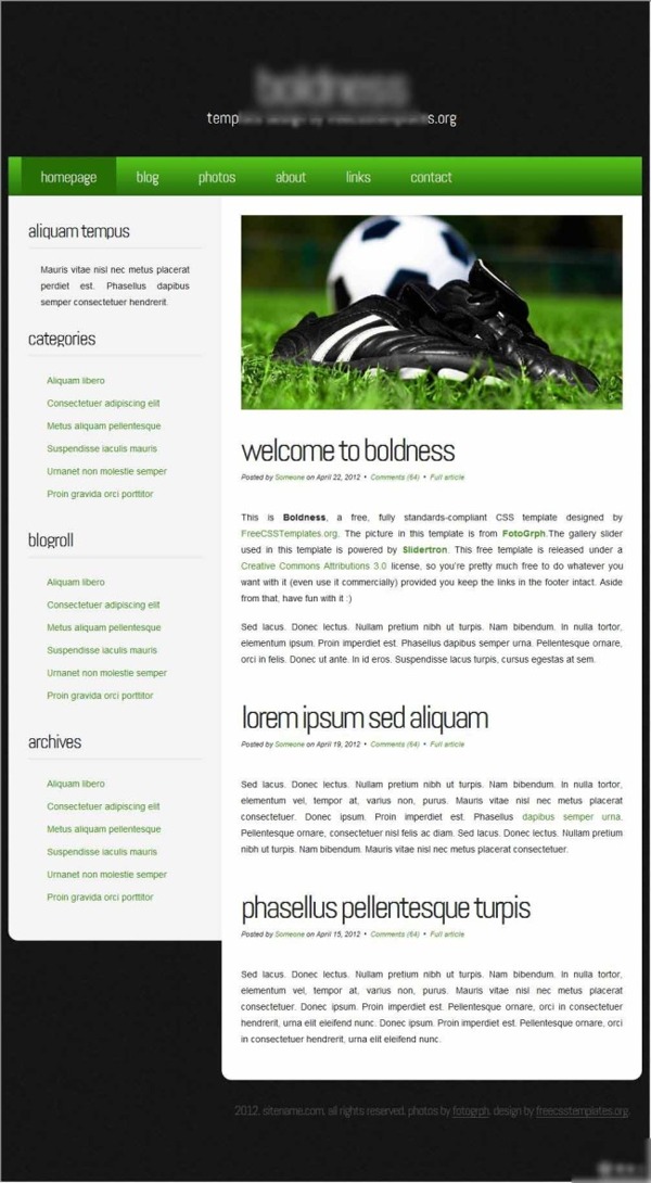 魄力绿荫运动信息网页模板