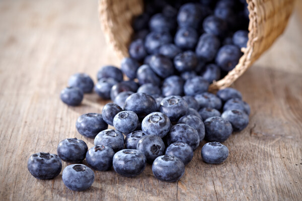 蓝莓水果零食背景海报素材图片