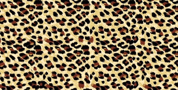 豹纹布料斑点底纹图片