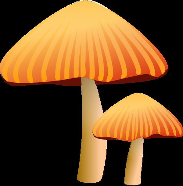 橙色的蘑菇