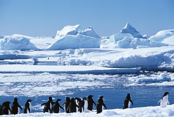 南极摄影图片