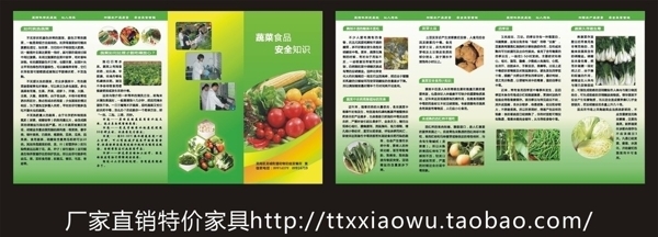 蔬菜食品安全知识折页图片