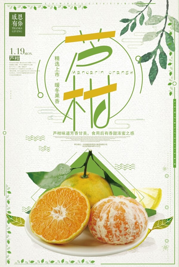 简约清新芦柑水果促销海报