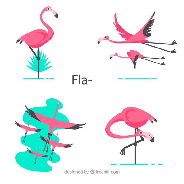 粉色热带火烈鸟图片