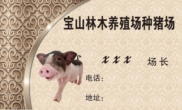 猪名片图片