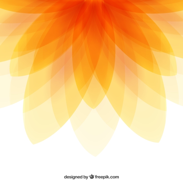 橙色花