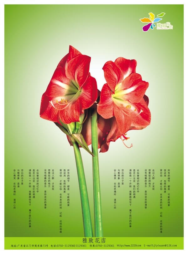 鲜花花店宣传单页