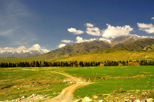 新疆阿尔夏提风景