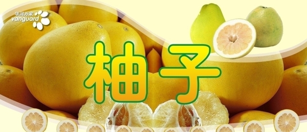 柚子广告图片