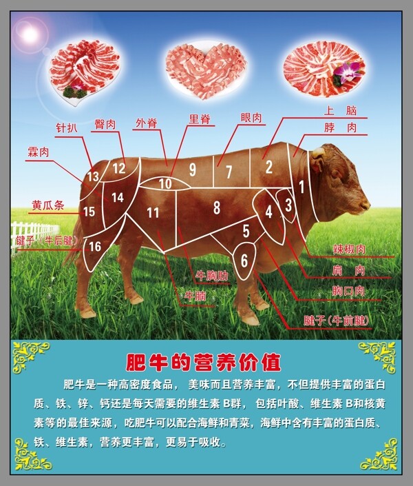 牛肉分布图图片