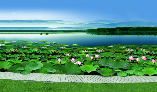 荷塘湖景
