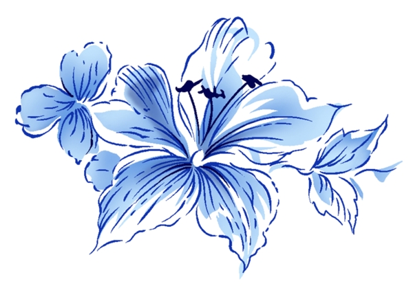 蓝色线条花的素材