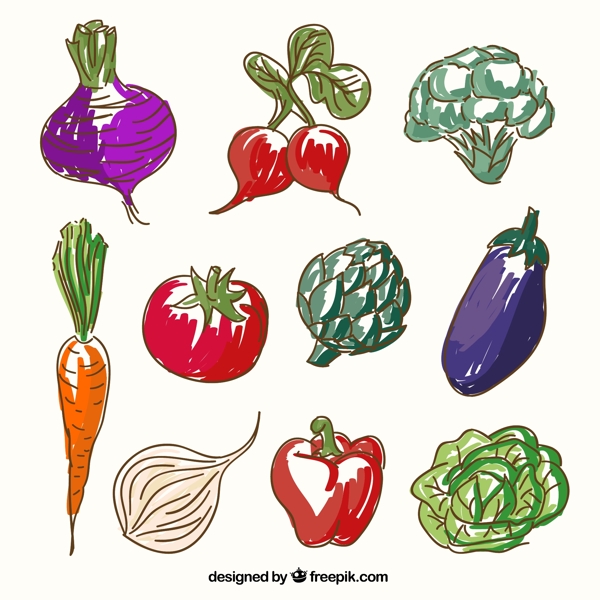 彩绘蔬菜矢量图片