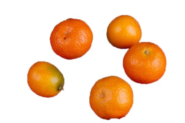 五个新鲜漂亮的橘子