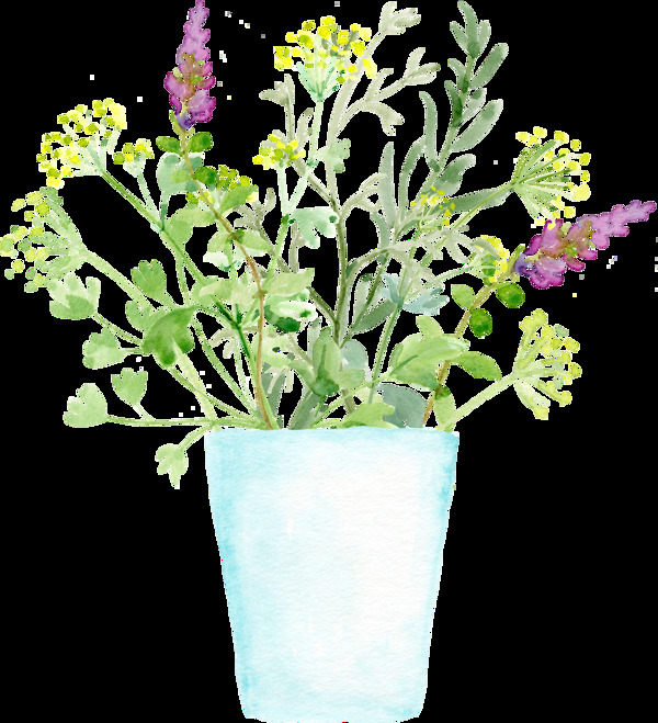 花盆种植植物卡通透明素材