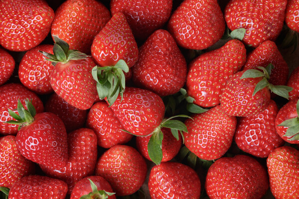 草莓背景底纹图片