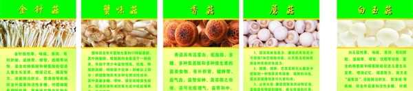 金针菇香菇蘑菇蟹味菇白玉菇介绍图片