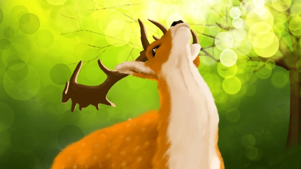 萌萌哒治愈动物系列森林里可爱的梅花鹿渴望