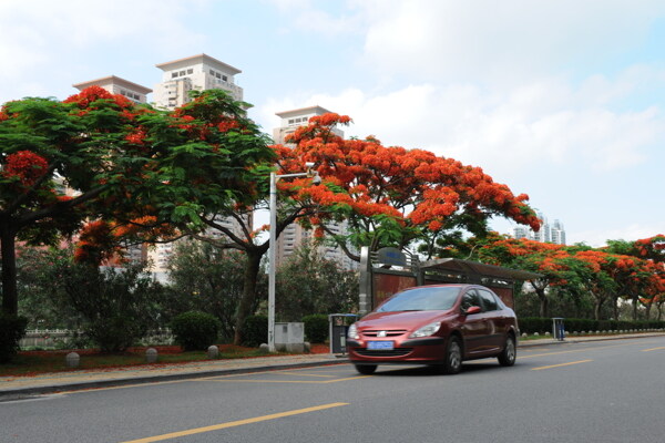 花路