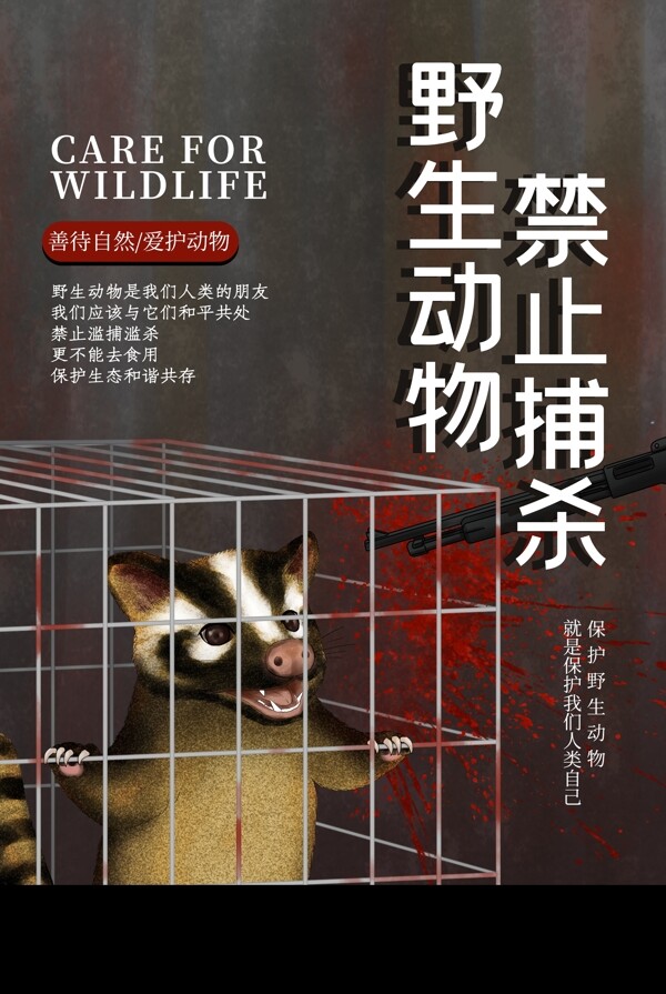 禁止捕杀野生动物