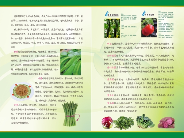 有机蔬菜折页图片