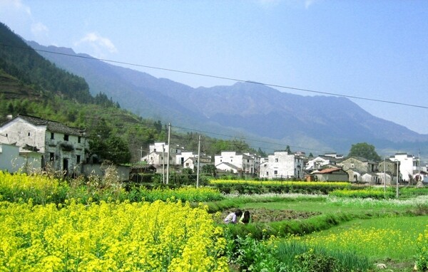 乡村风光图片