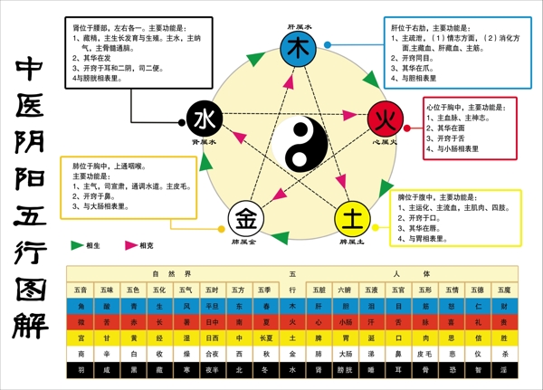 中医阴阳五行图图片