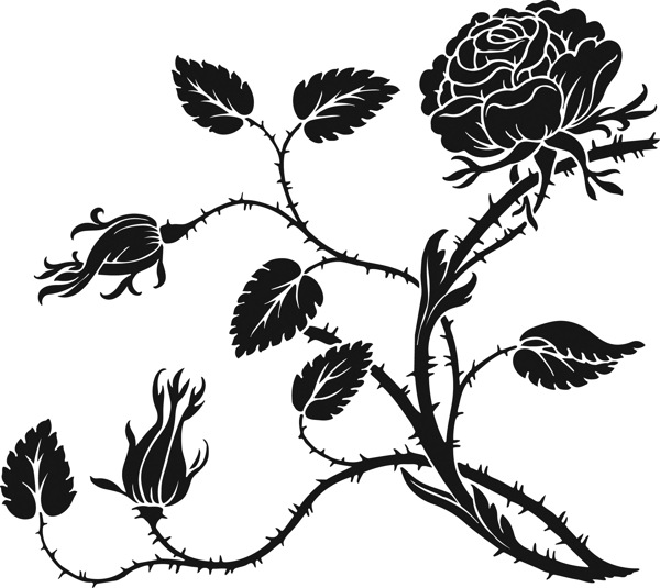 黑白花卉图案图片