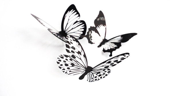 蝴蝶设计素材