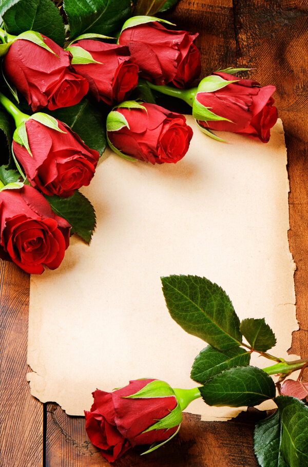 信纸与玫瑰花摄影图片
