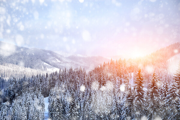 冬季雪景图片