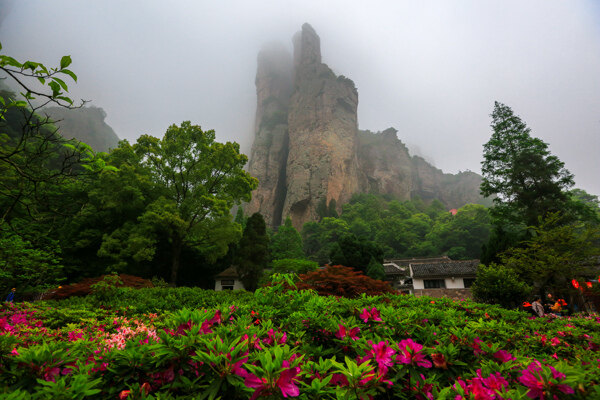 雁荡山图片