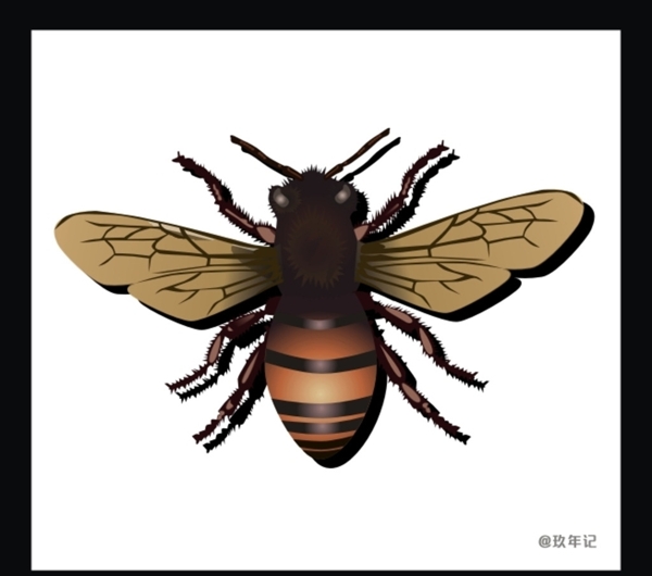 蜜蜂昆虫飞蜂蜜自然