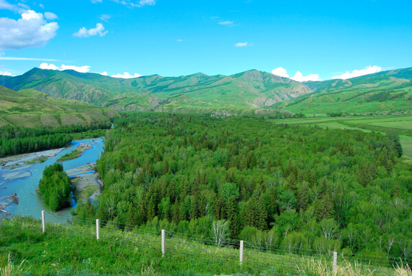 新疆白哈巴风景
