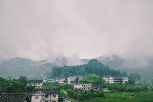 稻田山坡蓝天