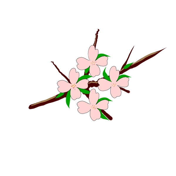四朵粉色的海棠花