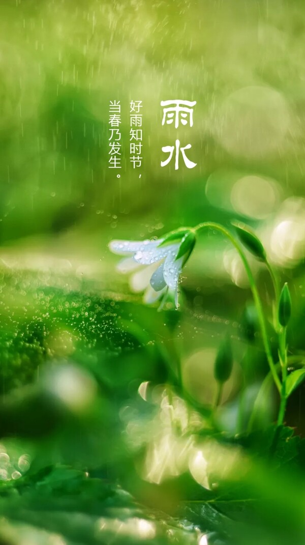 雨水