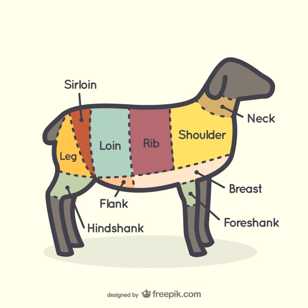 羊肉部位分割图