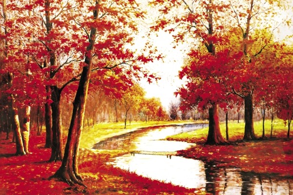 红枫林枫叶图片