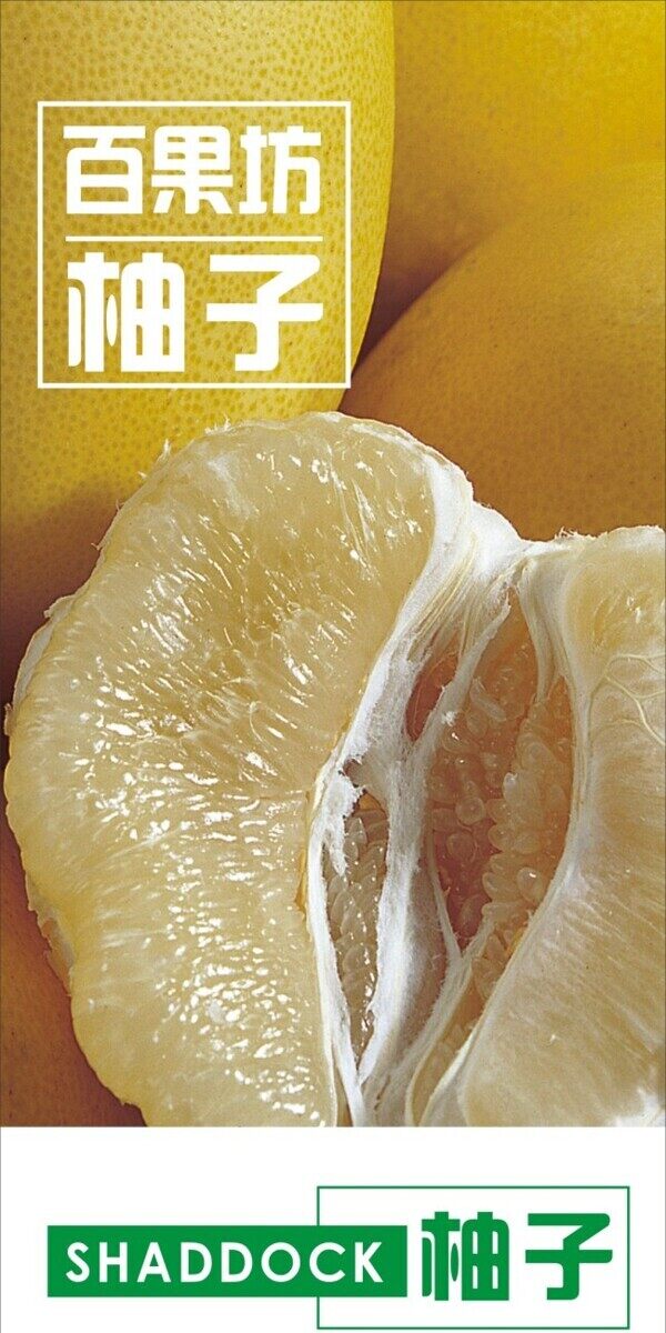 水果海报柚子