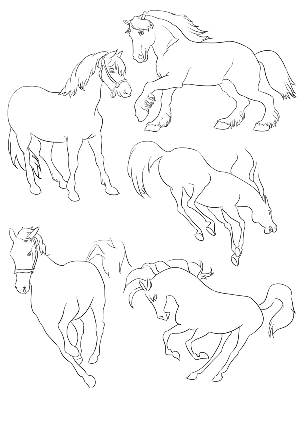 马动物手绘