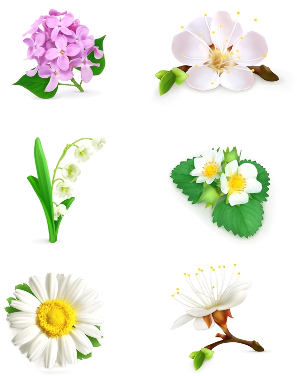 花卉花朵设计图片