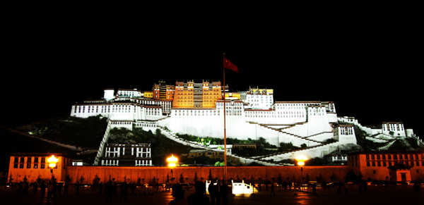 夜景布达拉宫图片