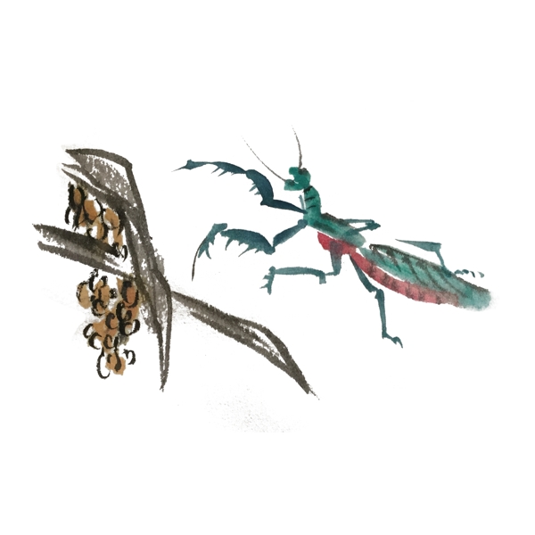 中国风水墨昆虫螳螂手绘装饰
