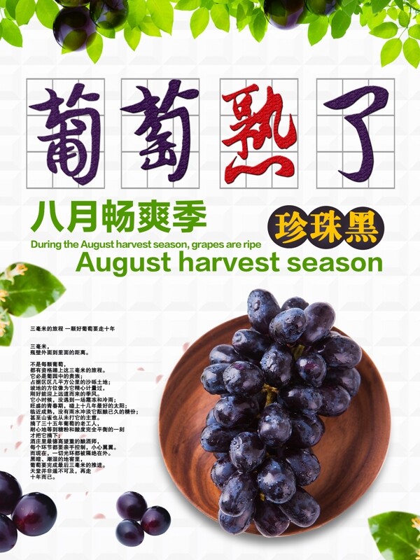 夏季新鲜水果葡萄促销海报