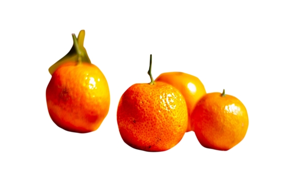 四个好吃的橘子png素材