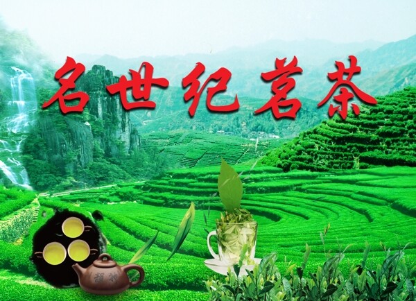 名世纪茗茶图片