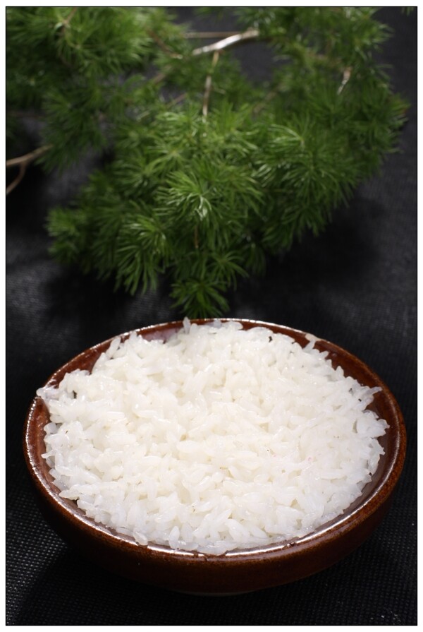 砂锅米饭图片