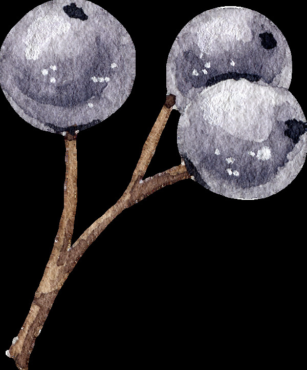 水晶蓝莓透明装饰素材