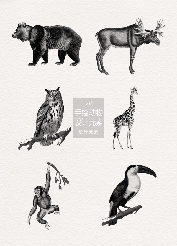 手绘动物插画设计元素